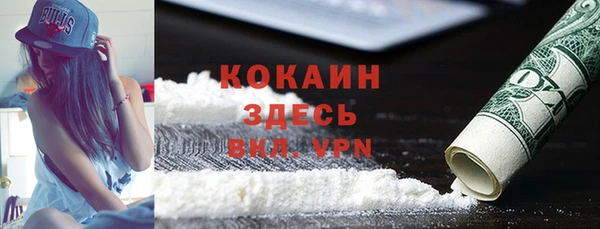 тгк Бородино