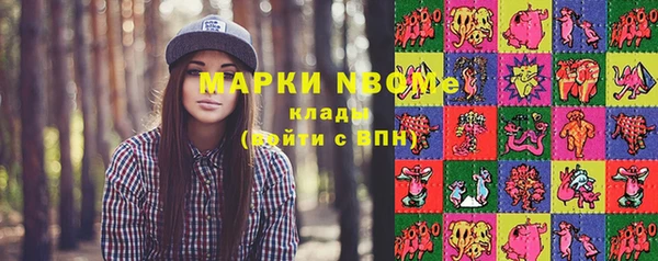 сатива Бежецк