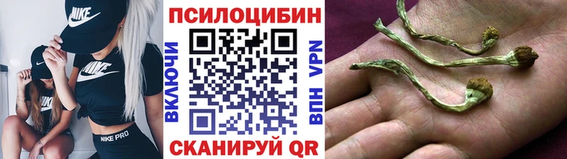 Псилоцибиновые грибы Psilocybe  Верхняя Тура 